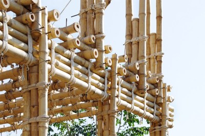 Бамбуковый ствол (обожженный) D 50-60мм.